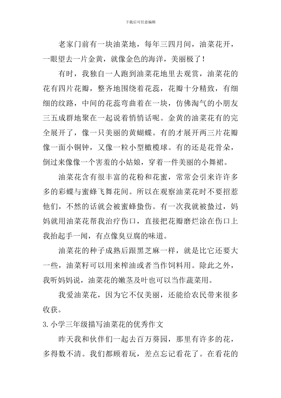 小学三年级描写油菜花的优秀作文10篇_第2页