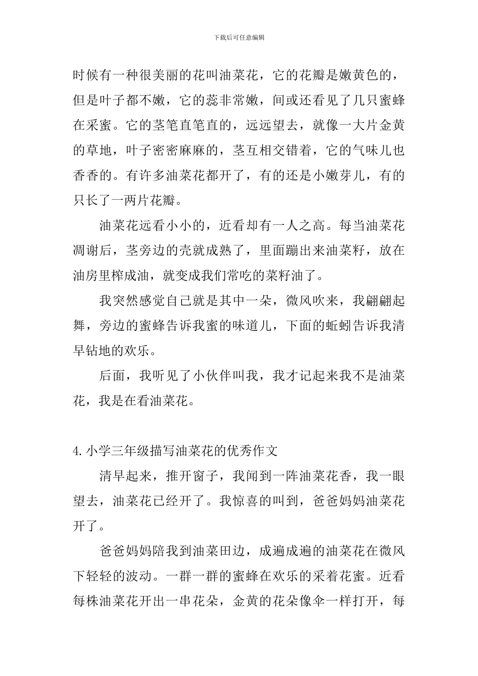 小学三年级描写油菜花的优秀作文10篇_第3页