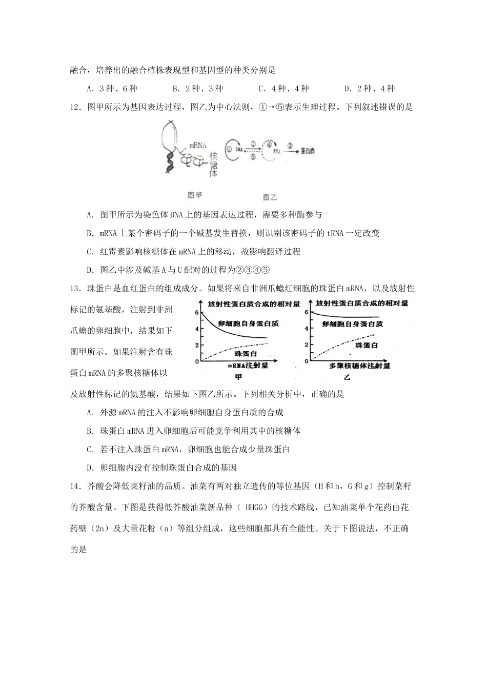 江苏省姜堰市溱潼中学2015届高三生物上学期第五次周练试卷_第3页