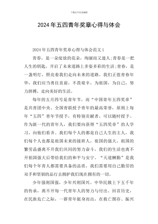 2024年五四青年奖章心得与体会