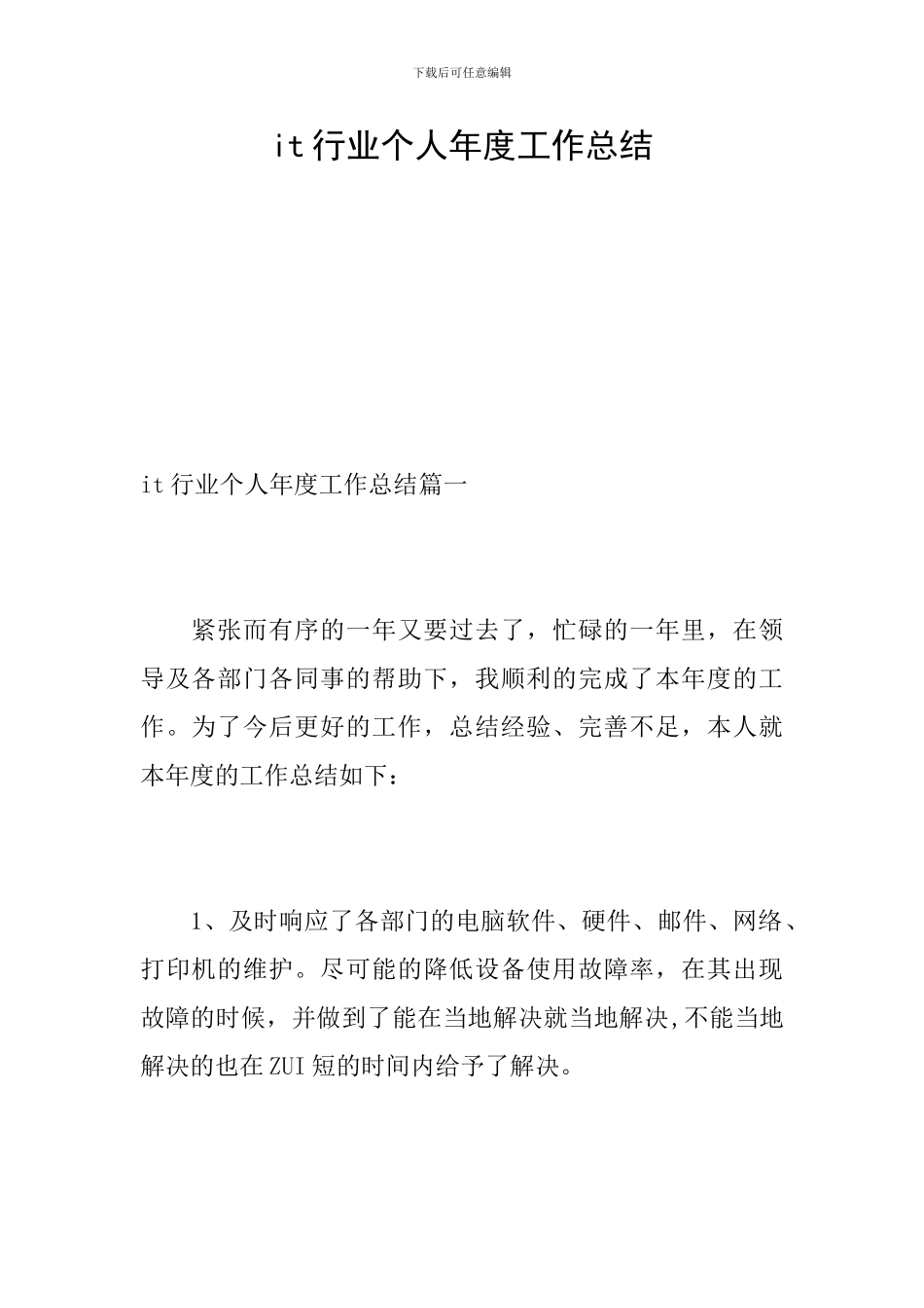 it行业个人年度工作总结_第1页