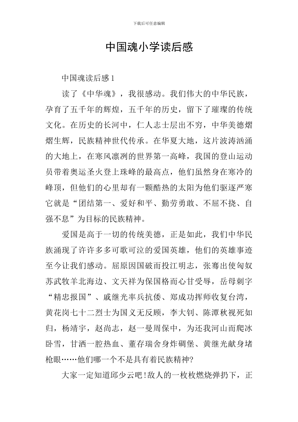 中国魂小学读后感_第1页