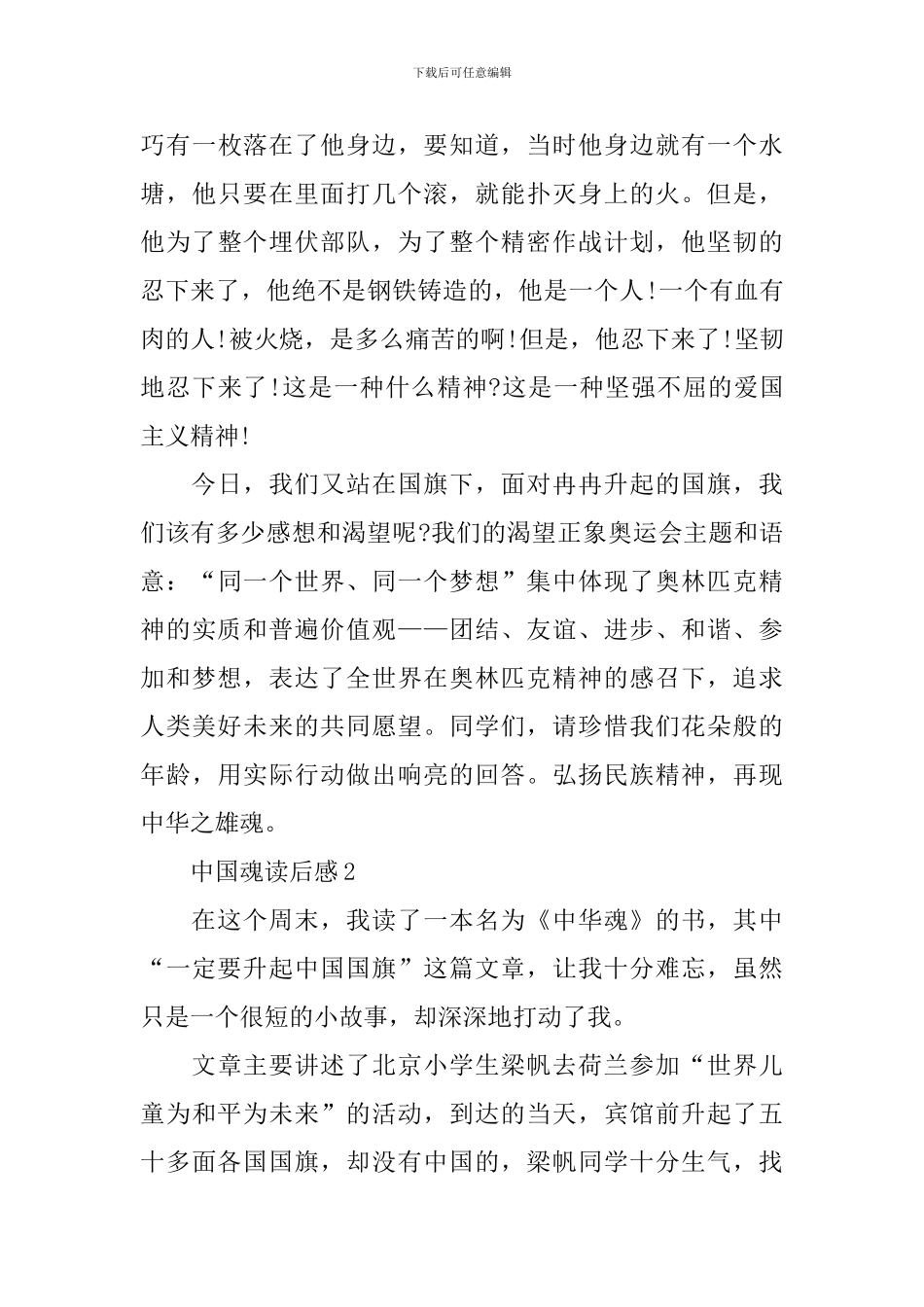 中国魂小学读后感_第2页