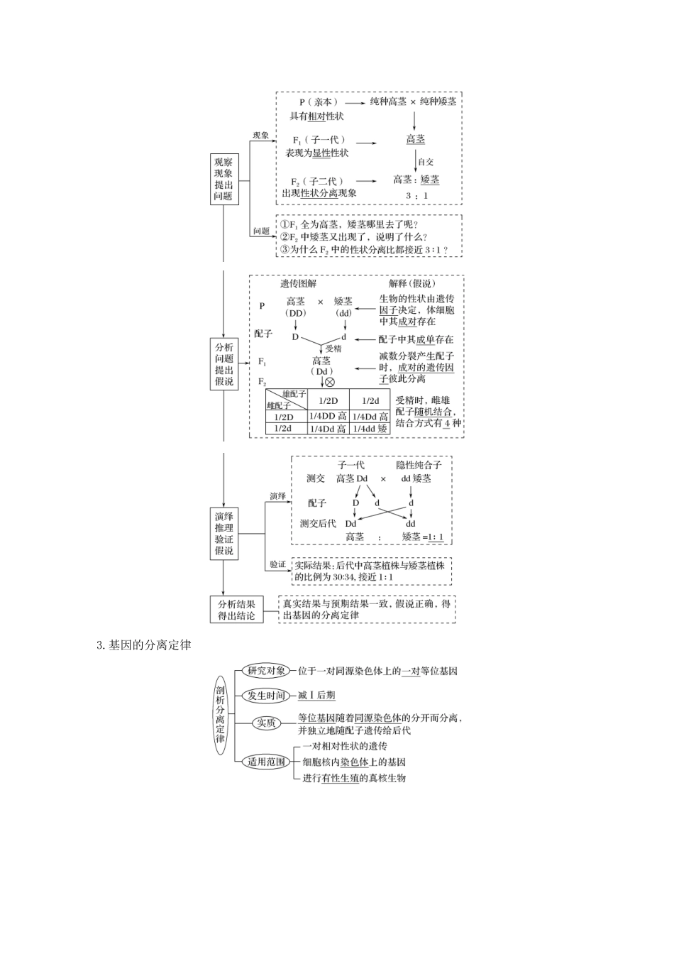 （鲁京津琼）高考生物总复习 第13讲 基因的分离定律教案-人教版高三全册生物教案_第2页