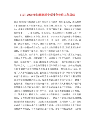 27,2020年扫黑除恶专项斗争年终工作总结 
