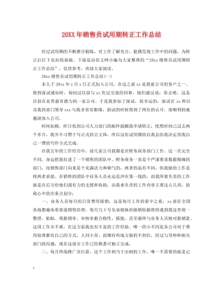 20XX年销售员试用期转正工作总结 