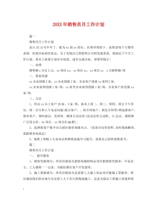 20XX年销售员月工作计划 