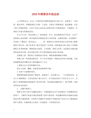 20XX年销售员年底总结 