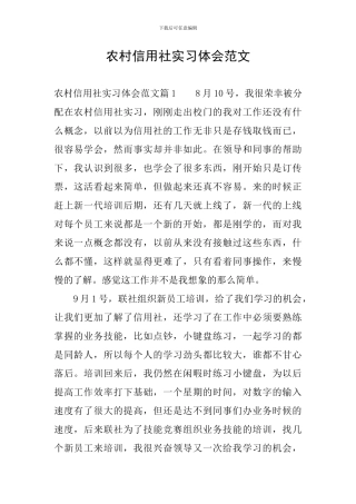 农村信用社实习体会范文