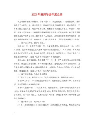 20XX年资深导游年度总结 