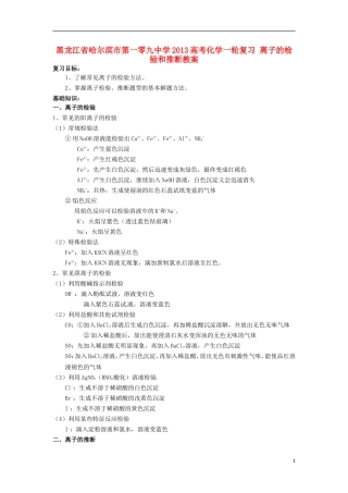 黑龙江省哈尔滨市第一零九中学2013高考化学一轮复习 离子的检验和推断教案
