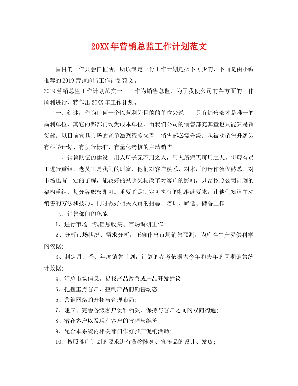 20XX年营销总监工作计划范文 _第1页