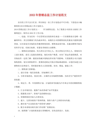 20XX年营销总监工作计划范文 