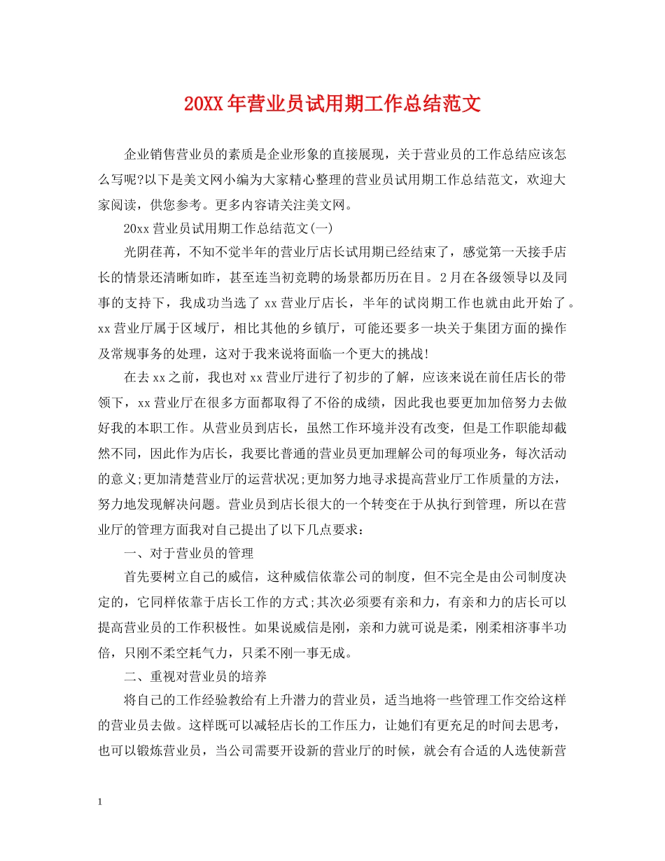 20XX年营业员试用期工作总结范文 _第1页