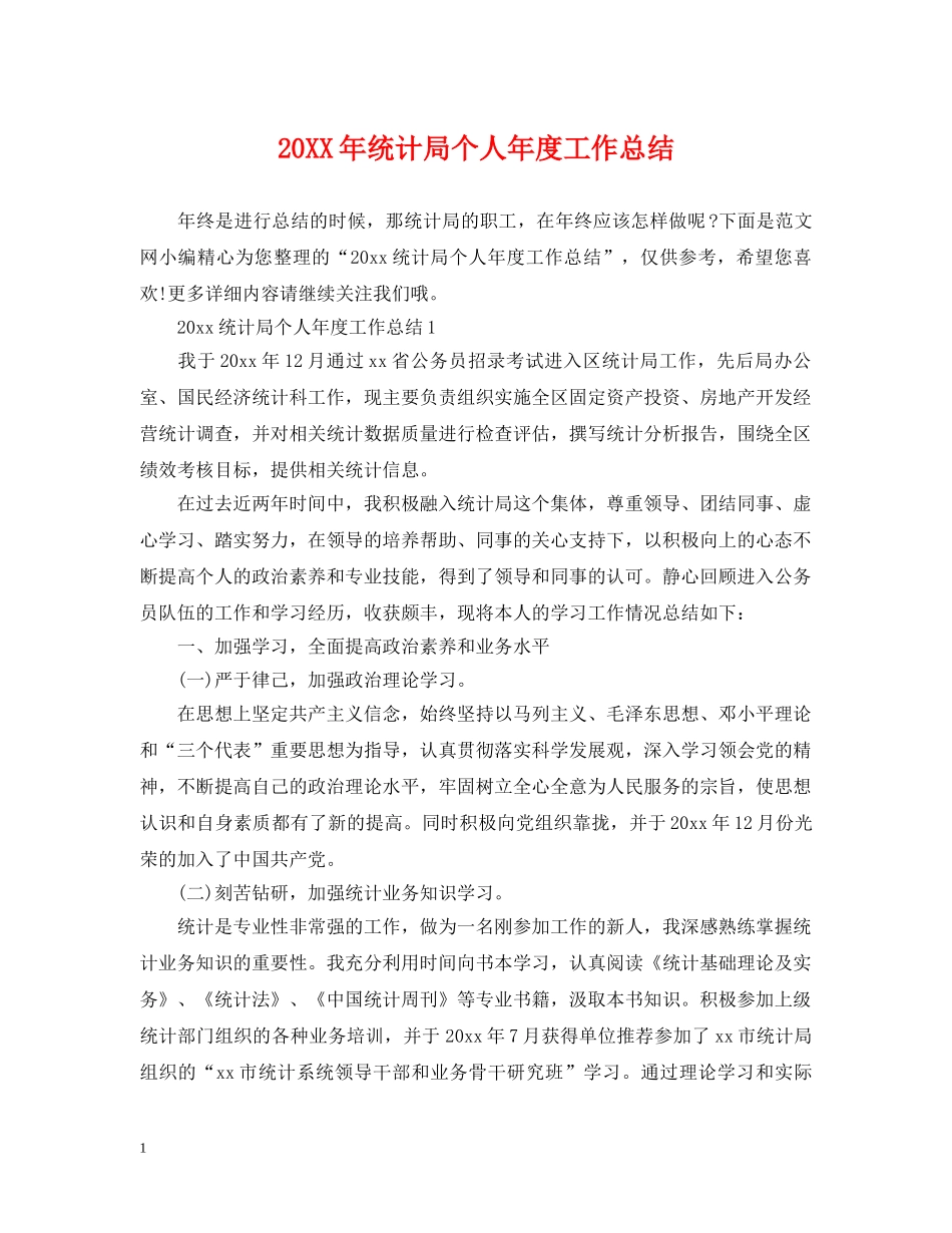 20XX年统计局个人年度工作总结 _第1页
