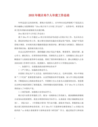 20XX年统计局个人年度工作总结 