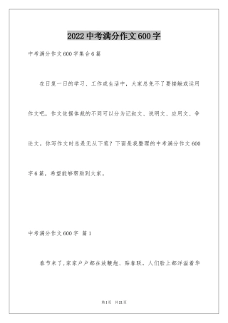 2024中考满分作文600字_134