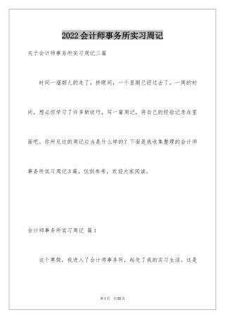 2024会计师事务所实习周记