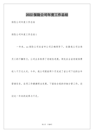 2024保险公司年度工作总结_2