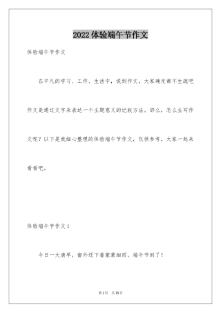 2024体验端午节作文