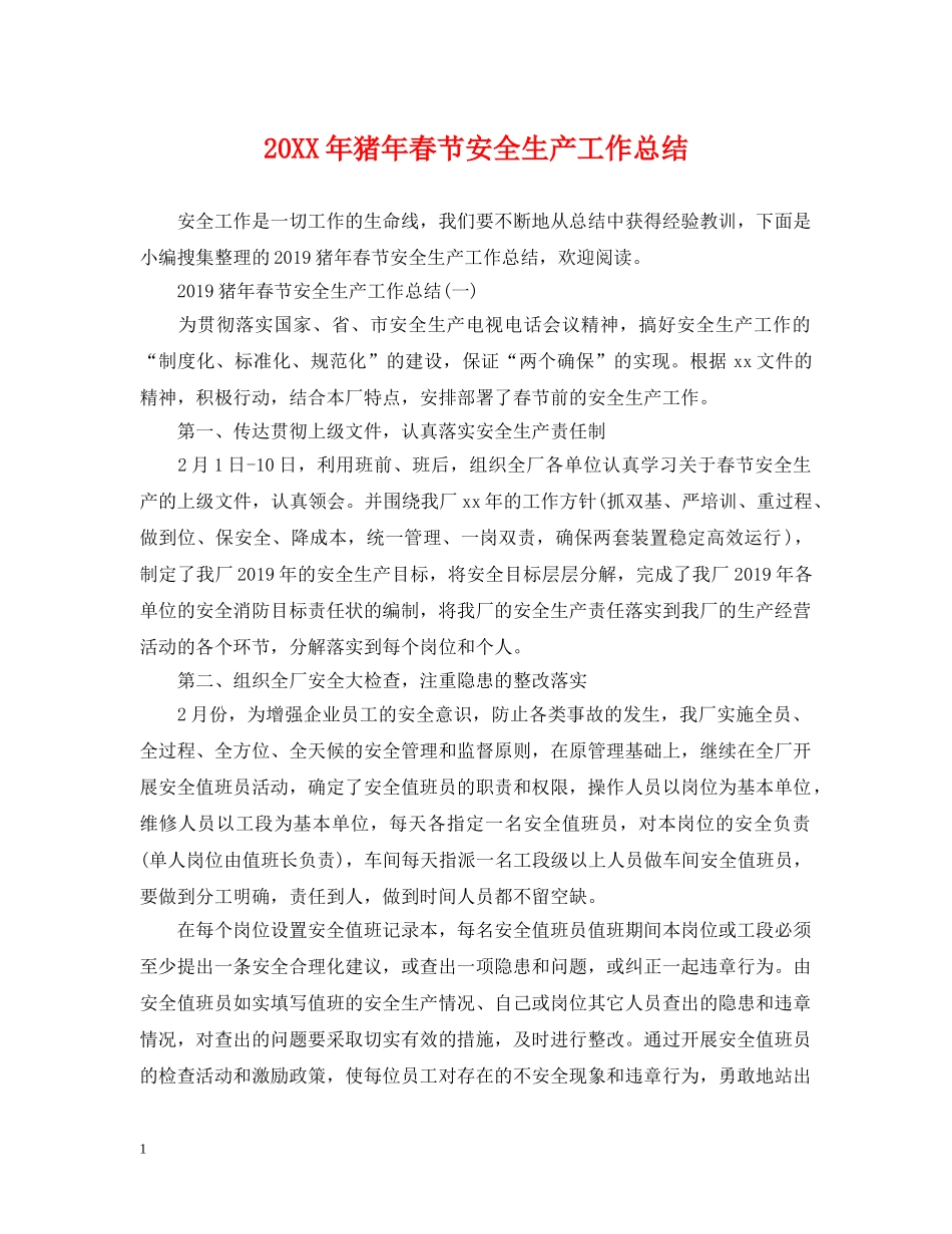 20XX年猪年春节安全生产工作总结 _第1页