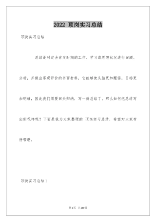 2024 顶岗实习总结_2