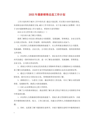 20XX年最新销售总监工作计划 