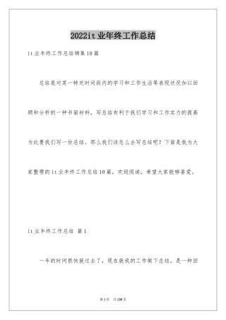 2024it业年终工作总结_6
