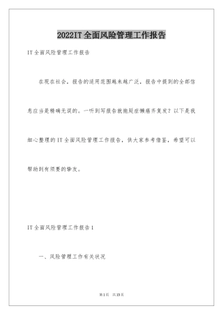 2024IT全面风险管理工作报告_1