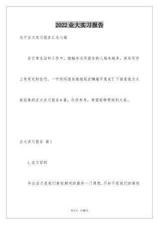 2024业大实习报告_9