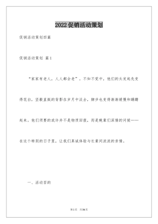 2024促销活动策划_137