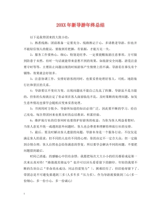20XX年新导游年终总结 