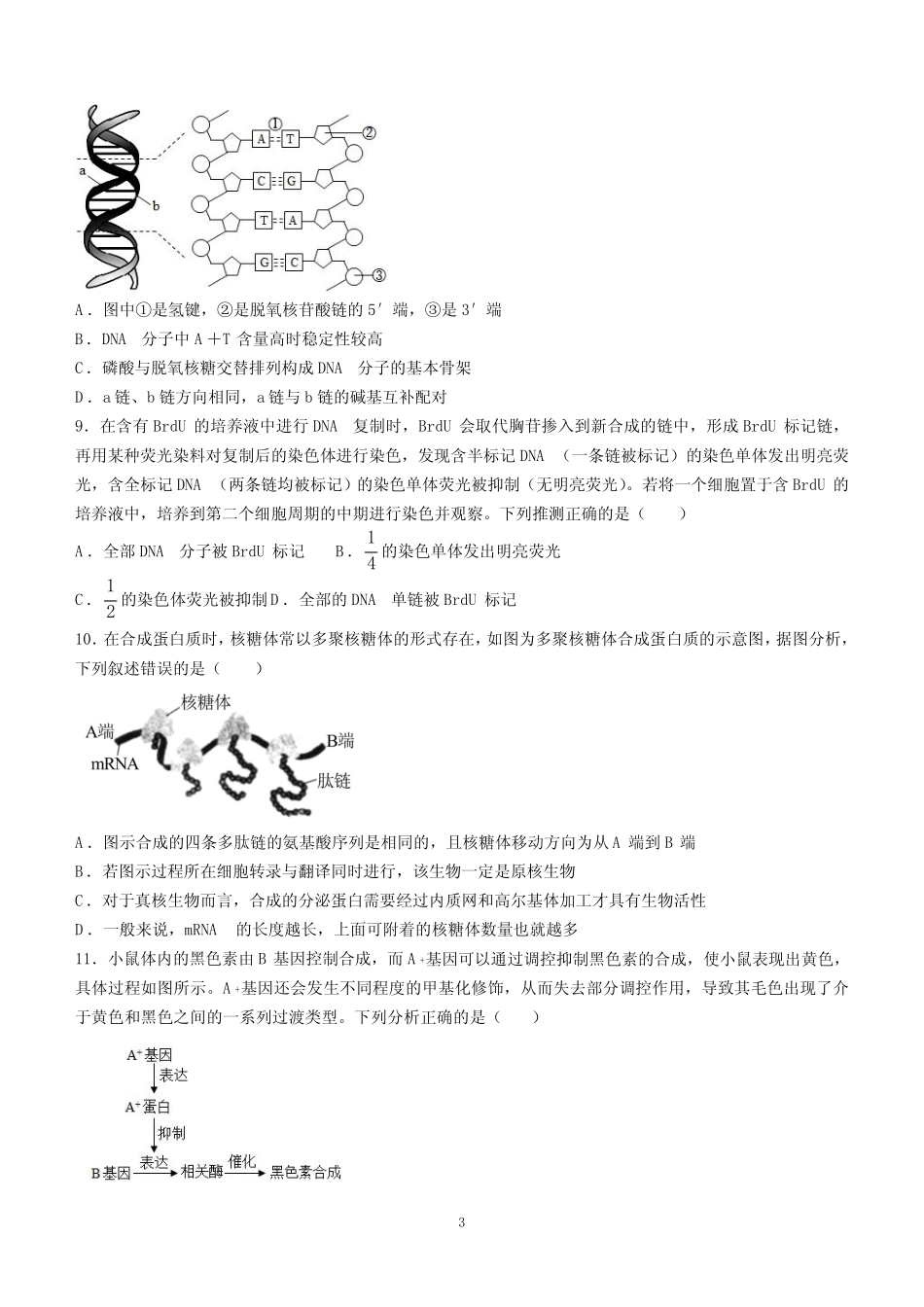 2024学年高一下学期第三次月考生物学试题(含答案) _第3页