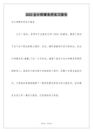 2024会计师事务所实习报告_5