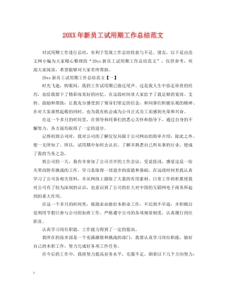 20XX年新员工试用期工作总结范文 
