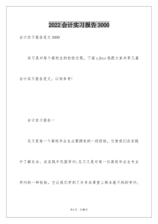 2024会计实习报告3000