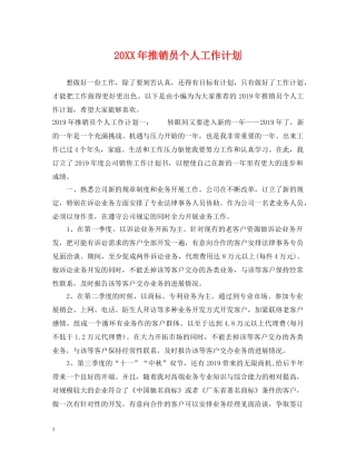 20XX年推销员个人工作计划 