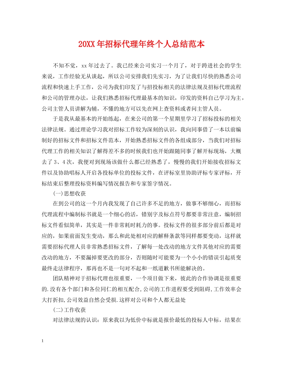 20XX年招标代理年终个人总结范本 _第1页