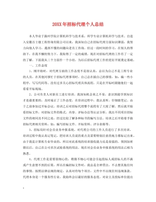 20XX年招标代理个人总结 
