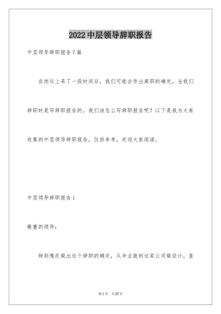 2024中层领导辞职报告_3