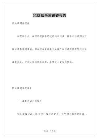 2024低头族调查报告_3