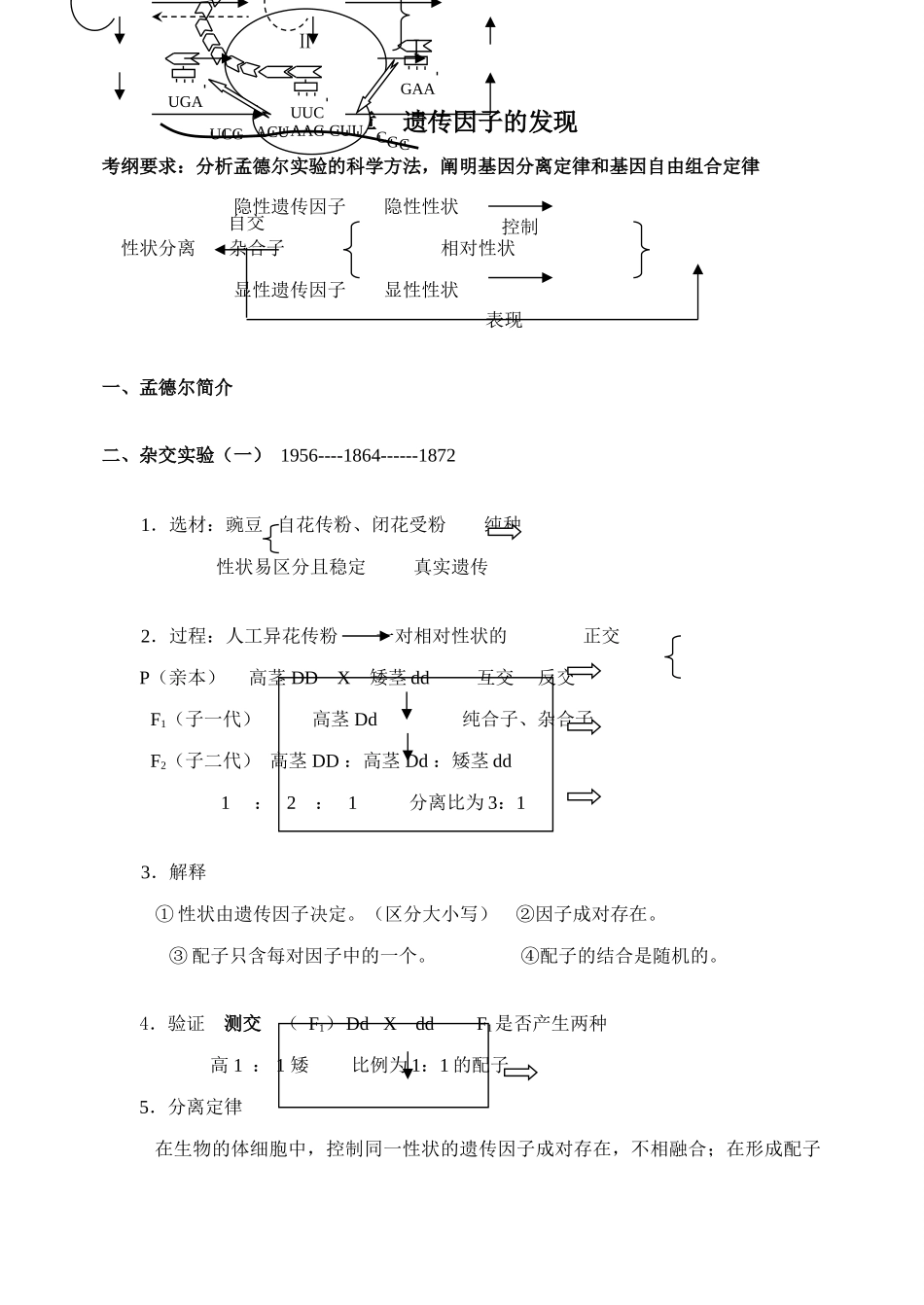 高中生物教案全套必修二_第1页