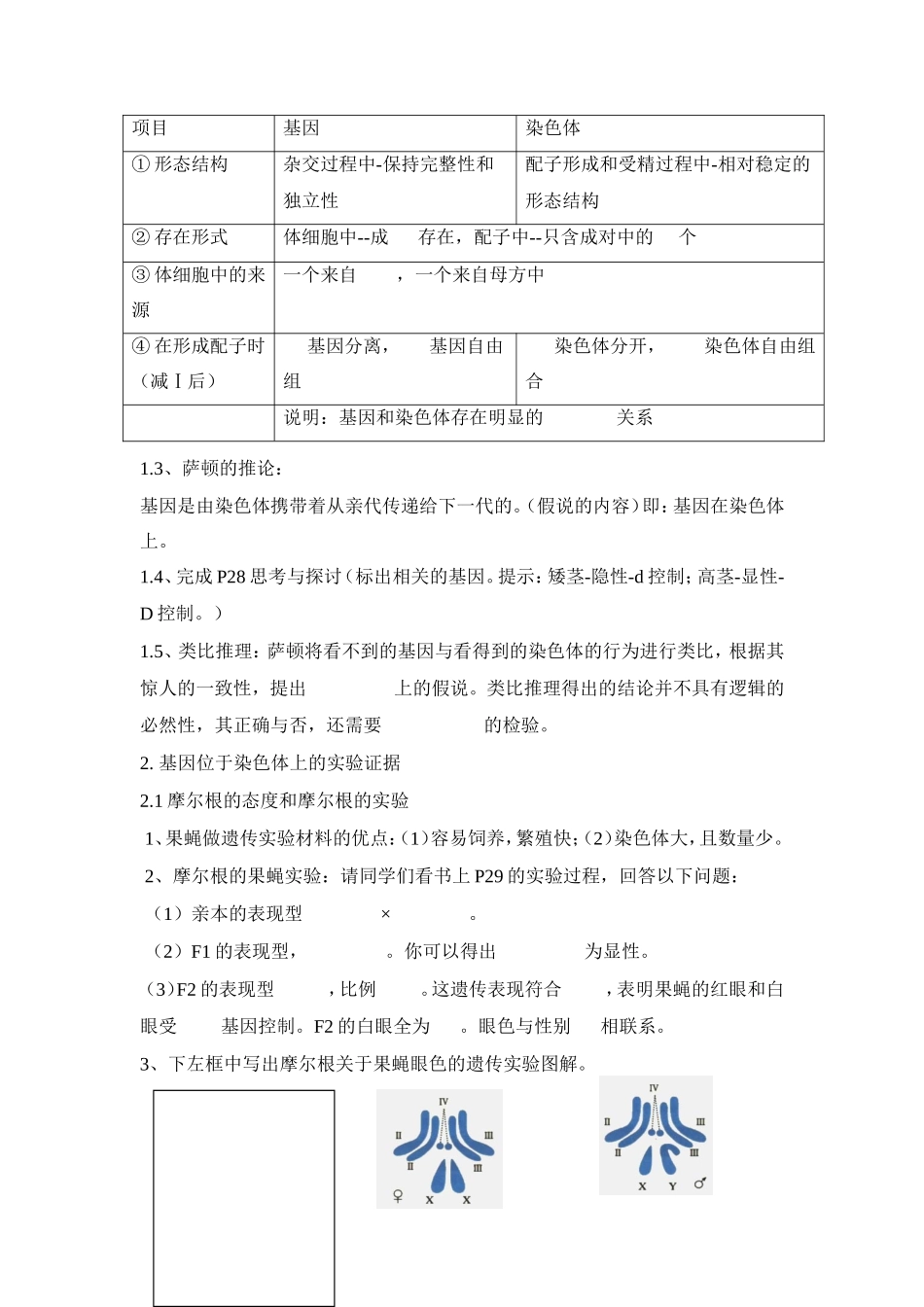 高中生物 第二章第二节基因在染色体上教案（2） 新人教版必修2_第2页