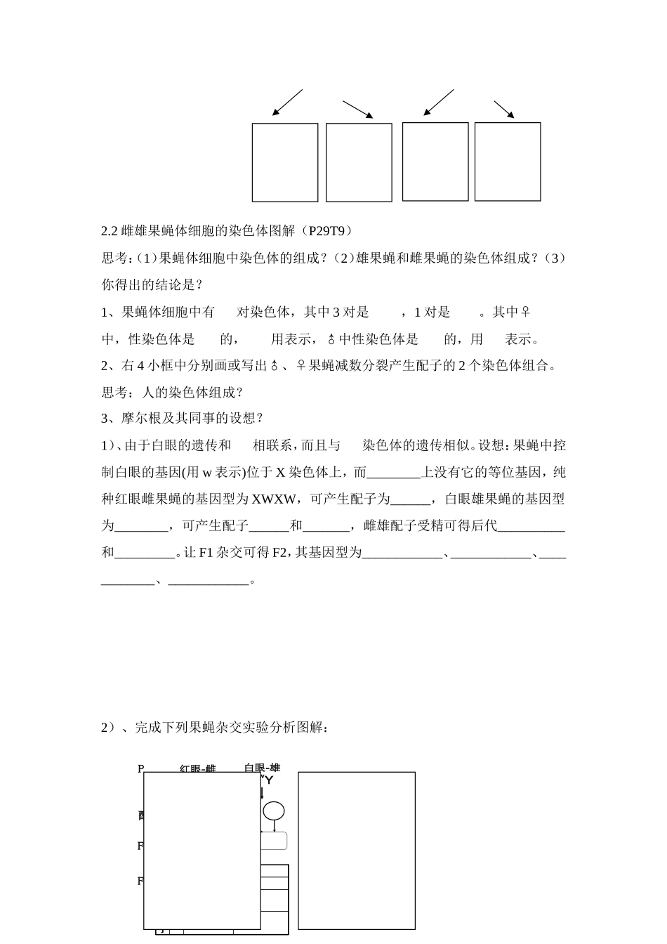高中生物 第二章第二节基因在染色体上教案（2） 新人教版必修2_第3页