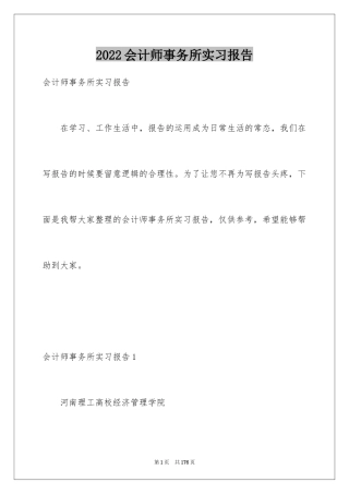 2024会计师事务所实习报告_1