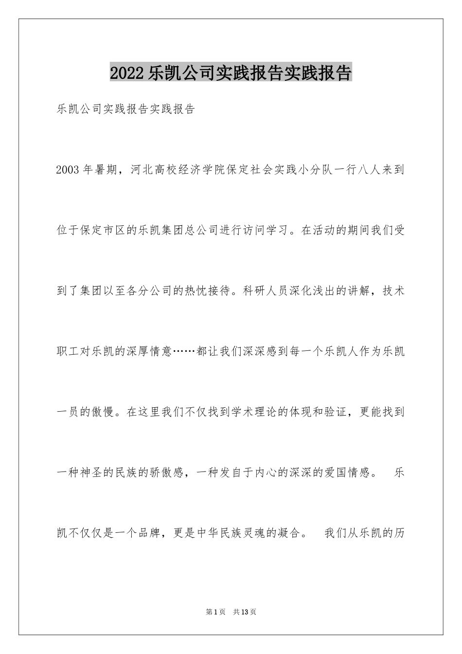 2024乐凯公司实践报告实践报告_第1页