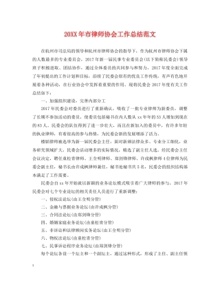 20XX年市律师协会工作总结范文 