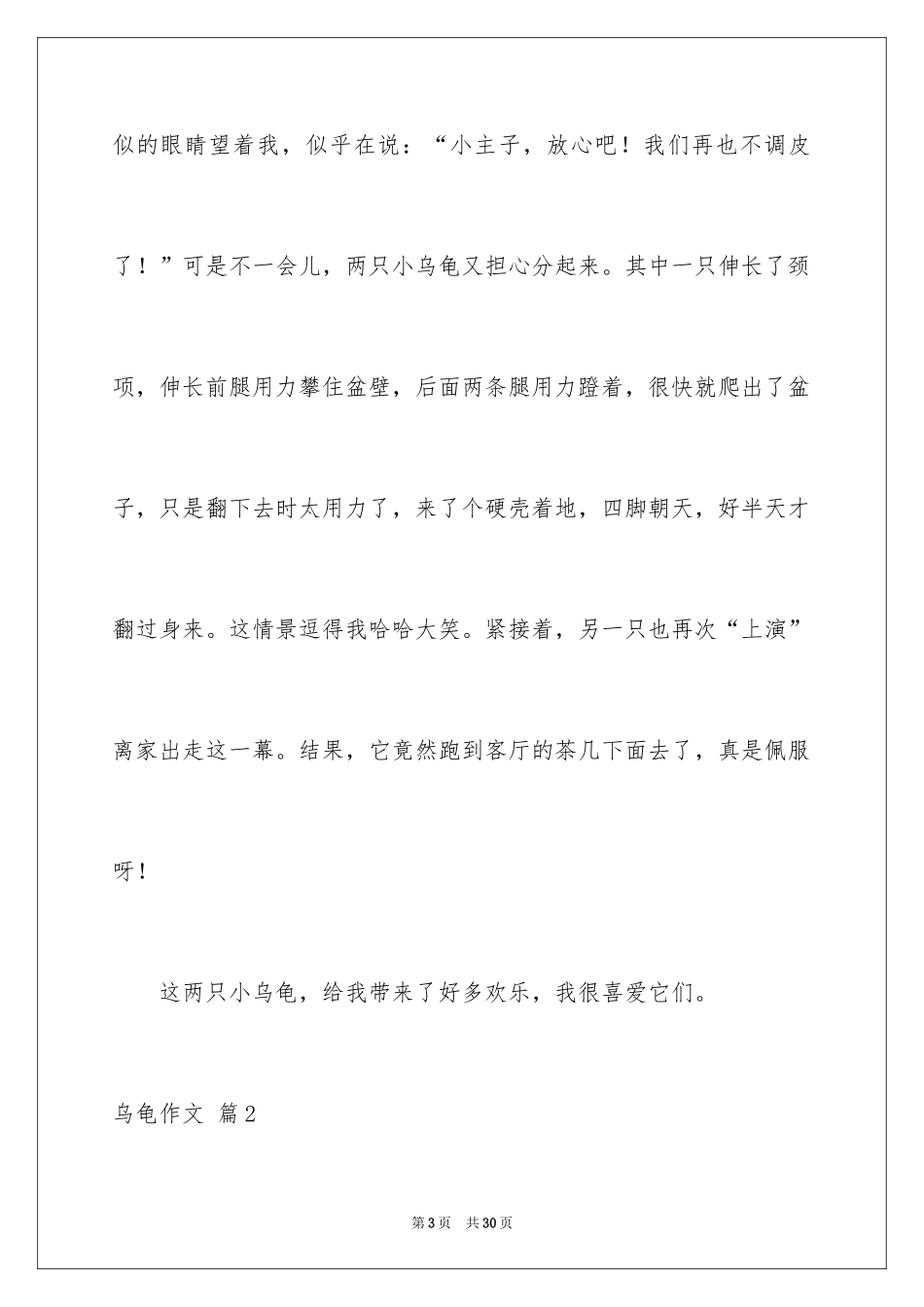 2024乌龟作文_第3页