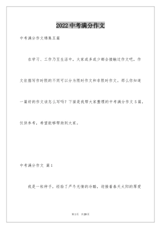 2024中考满分作文_102