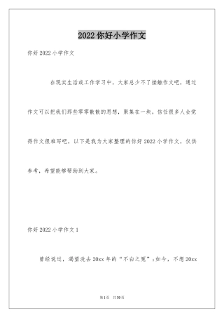 2024你好小学作文
